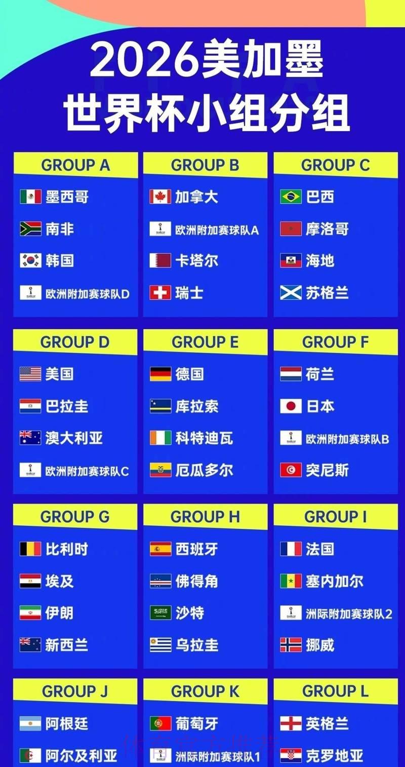 世界杯预选赛热门强队全面深度解析